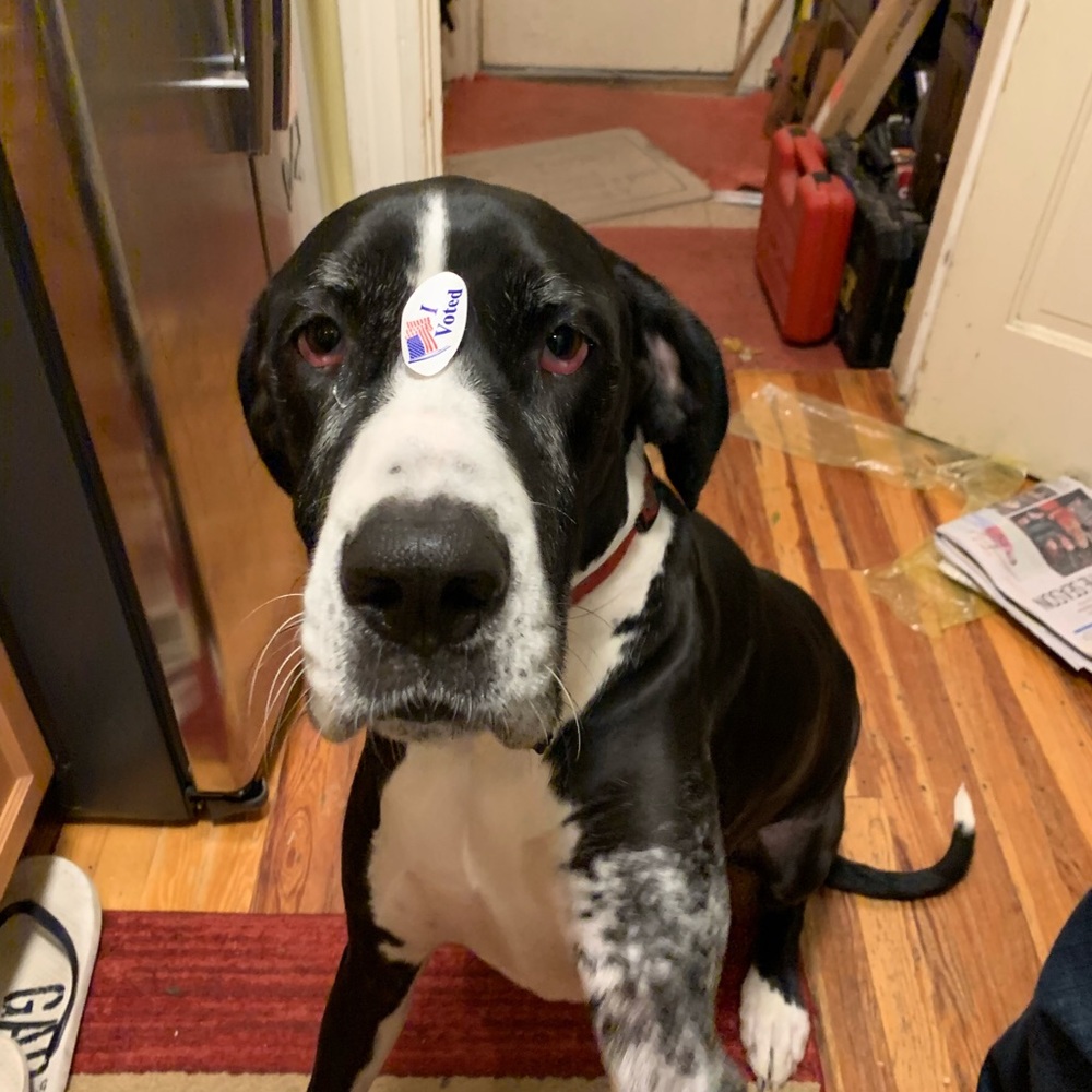 Meet your Posher, Meagan